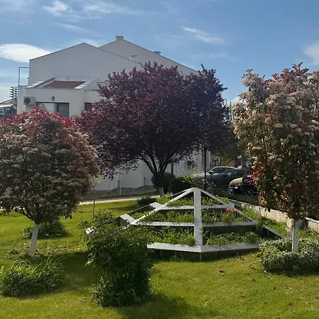 Diamond By The Sea سفيتي فلاس