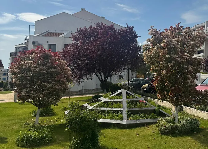 Diamond By The Sea Szveti Vlasz